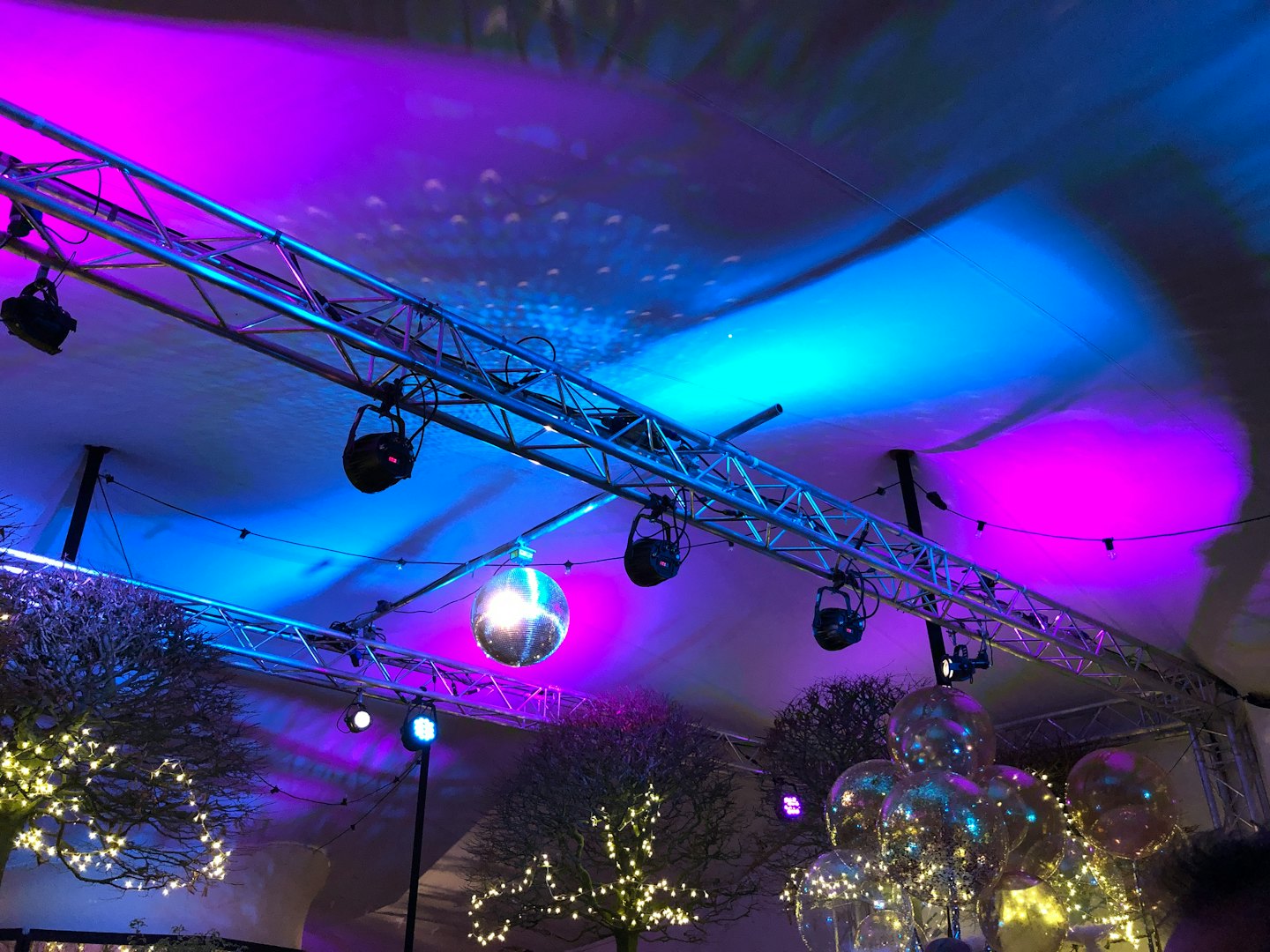 Festive event space with decorated trees and hanging disco ball.